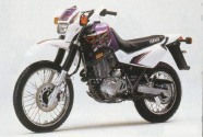 XT 600 fialovobílá
